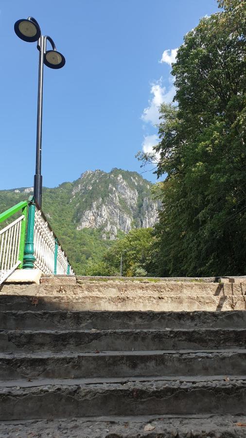 Casa Arion Băile Herculane Exterior foto